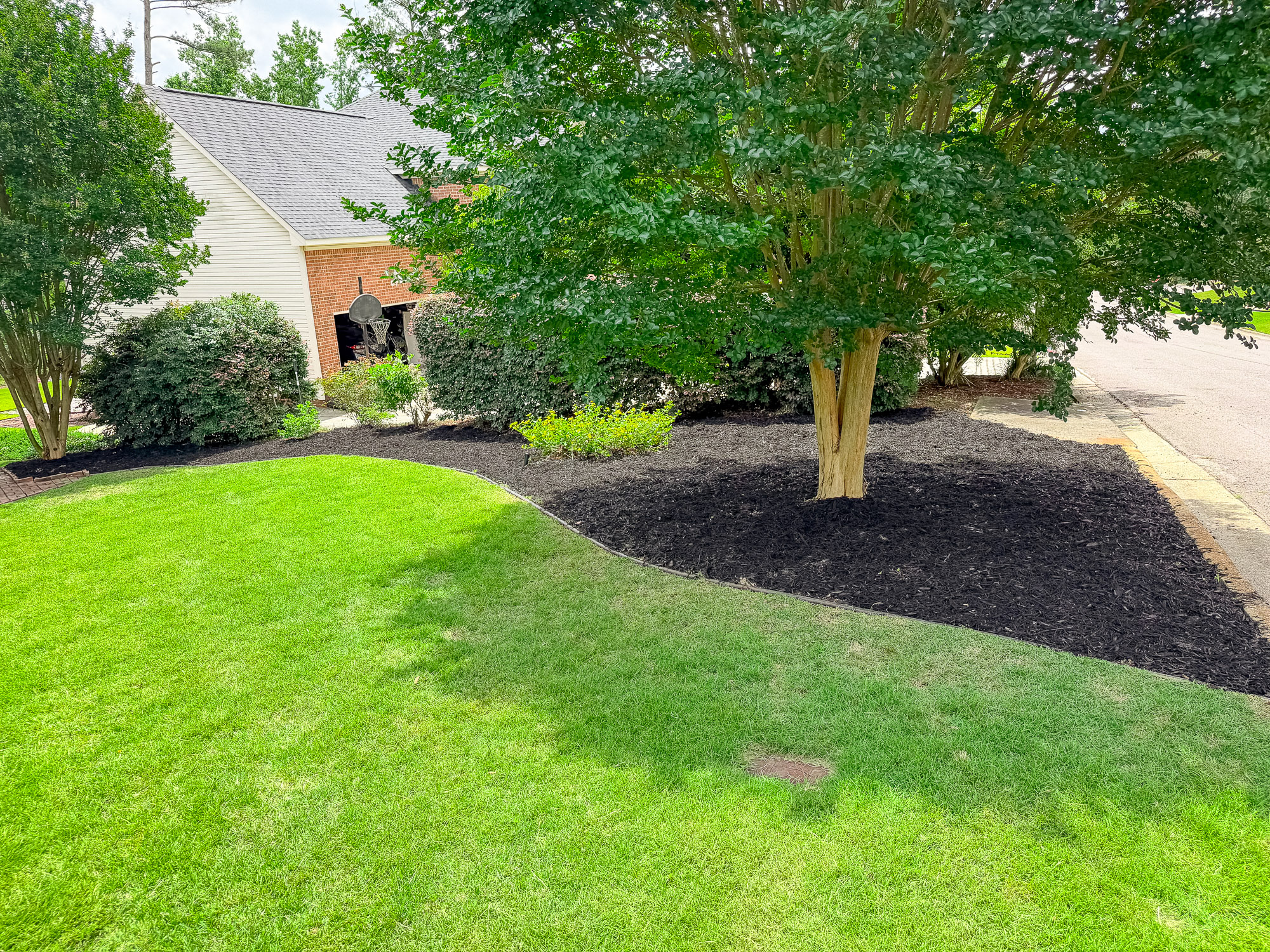 Drought, Heatwaves, and Summer Stress: How We Adjust Your Lawn Care When Our Suburbs Face Extreme Weather
