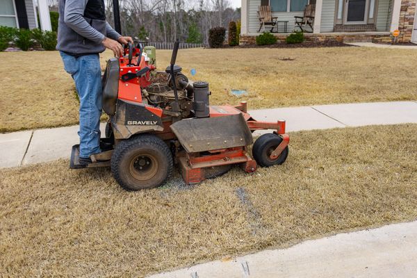 How Often Should Your Lawn Really Be Mowed? A Family-Owned Lawn Care Expert Explains